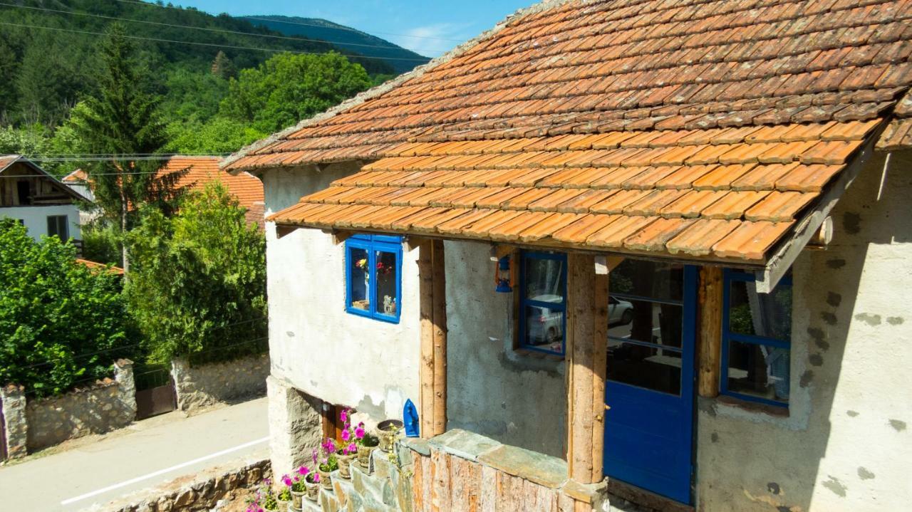 Charming Rustic House In The Village Lipovac Aleksinac Exterior photo