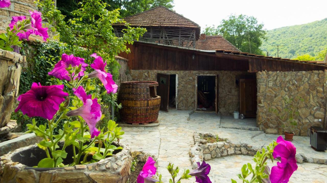 Charming Rustic House In The Village Lipovac Aleksinac Exterior photo