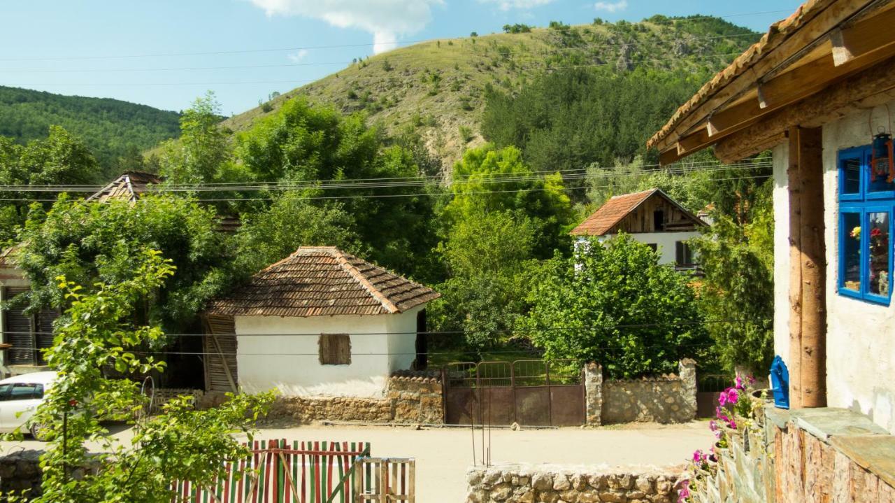 Charming Rustic House In The Village Lipovac Aleksinac Exterior photo