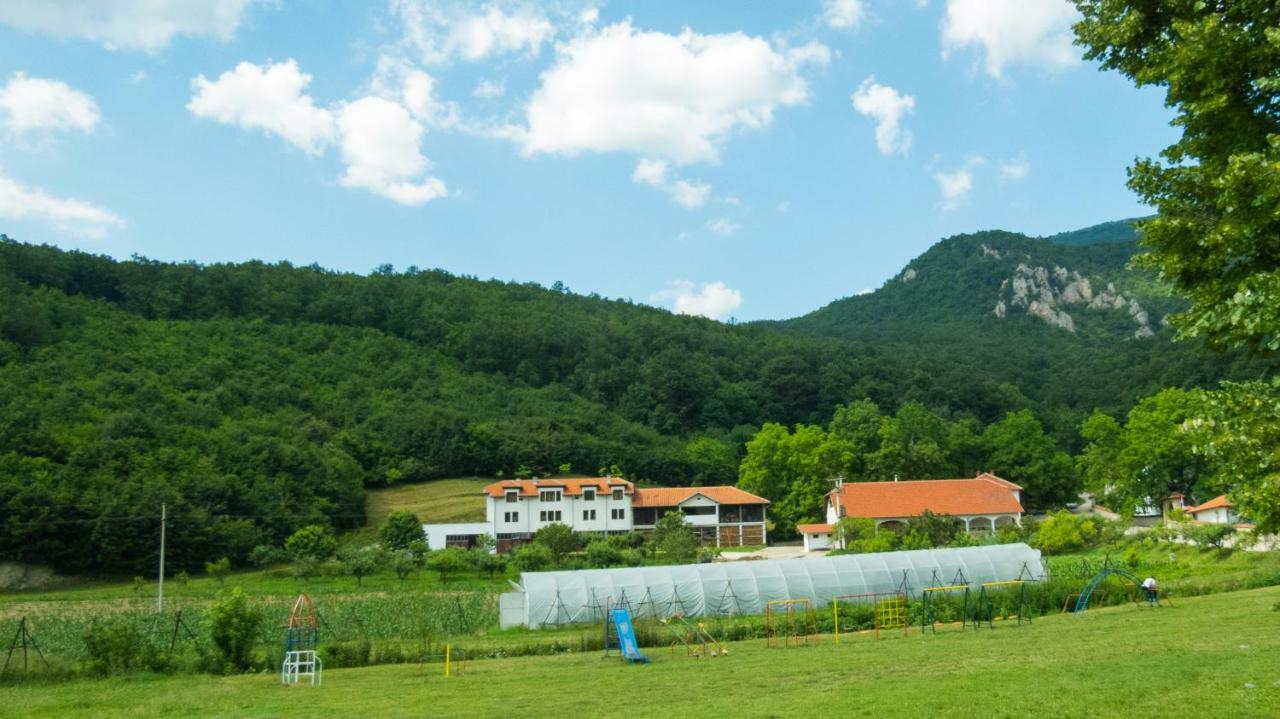 Charming Rustic House In The Village Lipovac Aleksinac Exterior photo